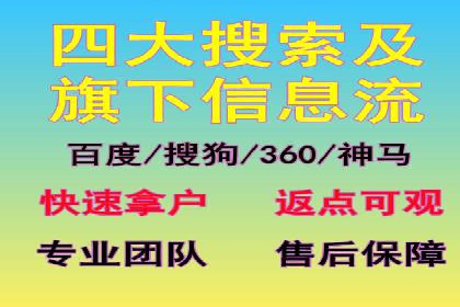 专业SEM托管：成功提升广告效果的案例分析